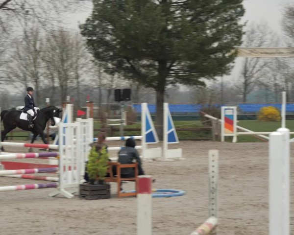 Reitturnier Scharnebeck 2021