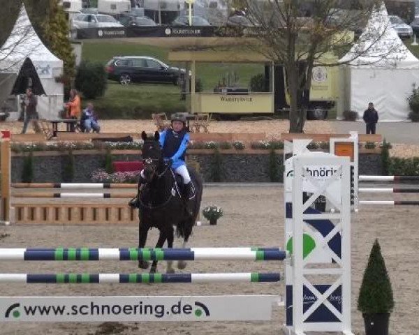 jumper Earls Girl (Hanoverian, 2005, from Earl)