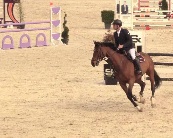 Torneo Equestre Westergellersen 2021