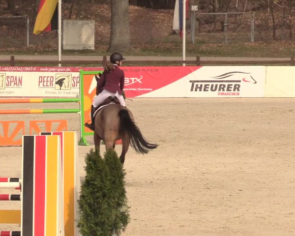 Reitturnier Westergellersen 2021