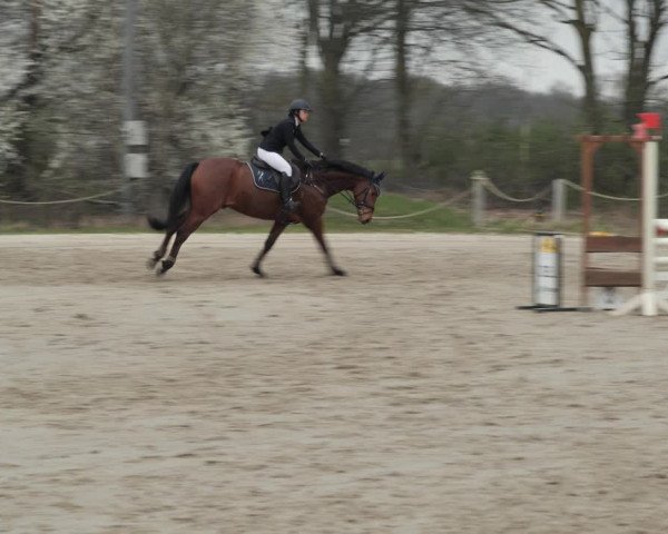 Reitturnier Scharnebeck 2021