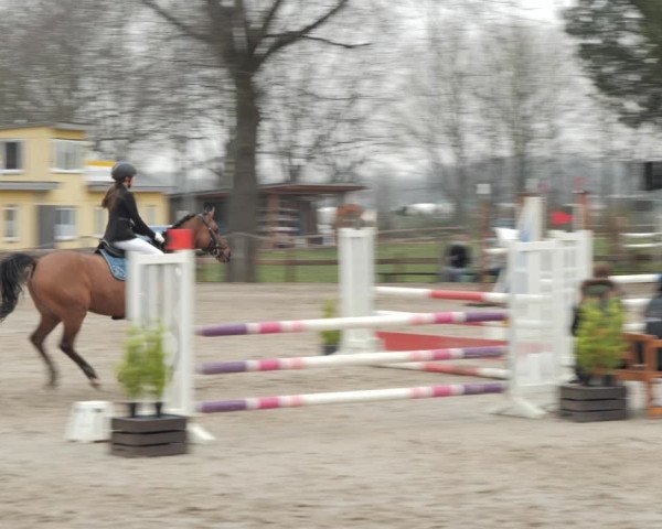 Reitturnier Scharnebeck 2021