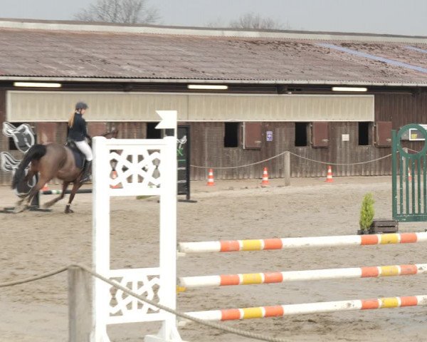 Reitturnier Scharnebeck 2021