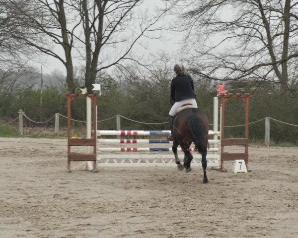 Reitturnier Scharnebeck 2021