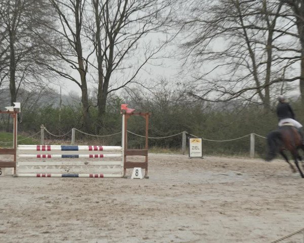 Reitturnier Scharnebeck 2021