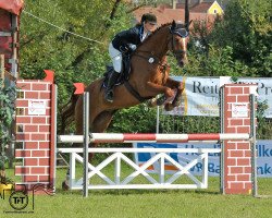 jumper Eulenspiegel 19 (Hanoverian, 2008, from Espri)