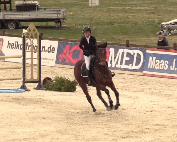 Reitturnier Westergellersen 2021