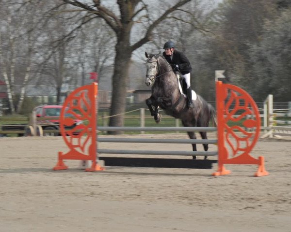 Reitturnier Scharnebeck 2021