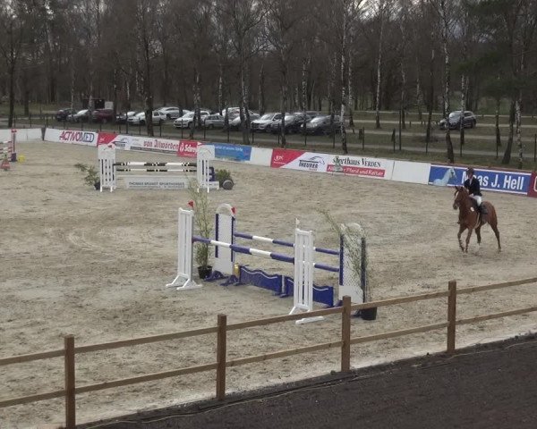 Reitturnier Westergellersen 2021