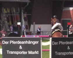 jumper Phenos (German Warmblood, 2002, from Puschkin)