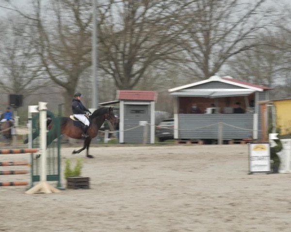 Reitturnier Scharnebeck 2021