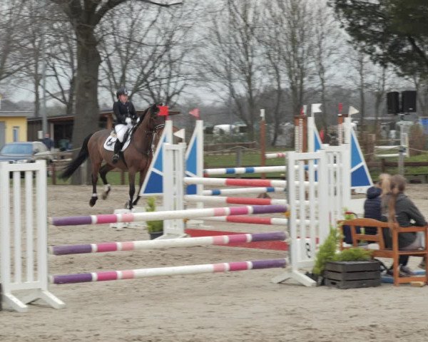 Reitturnier Scharnebeck 2021