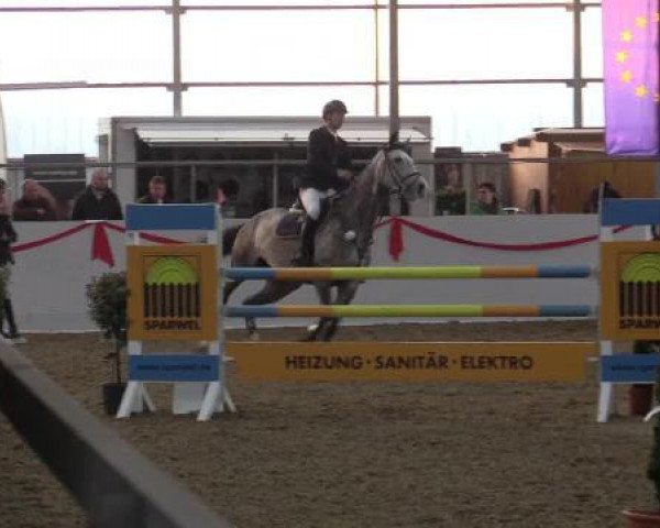 jumper Li 'Balou (Rhinelander, 2009, from Hh Linton)