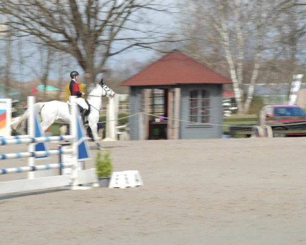 Reitturnier Scharnebeck 2021