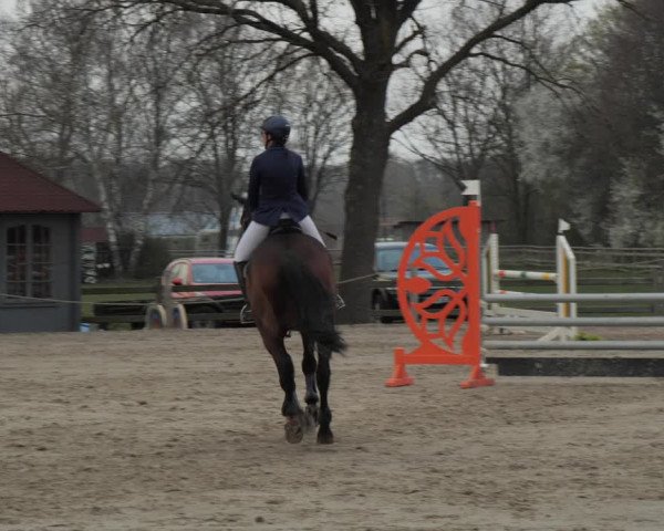 Reitturnier Scharnebeck 2021