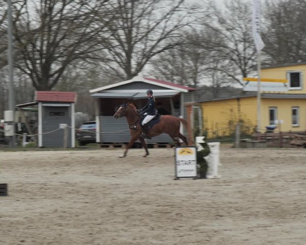 Reitturnier Scharnebeck 2021