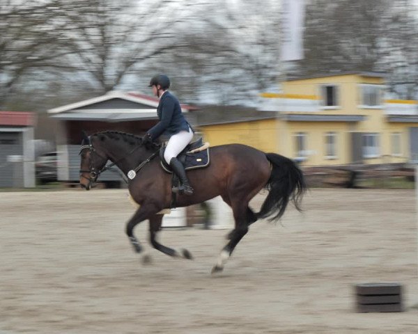 Reitturnier Scharnebeck 2021