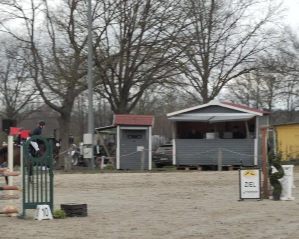 Reitturnier Scharnebeck 2021