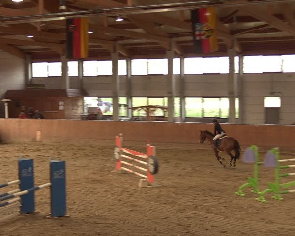 Reitturnier Prussendorf 2021