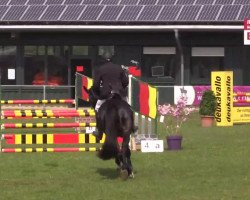 jumper Dianello R (Oldenburg, 2011, from Diarado)