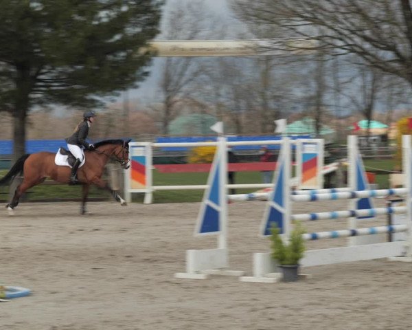 Reitturnier Scharnebeck 2021