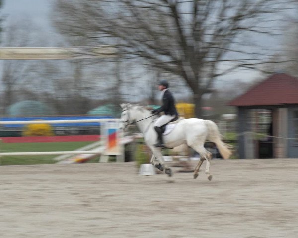 Reitturnier Scharnebeck 2021
