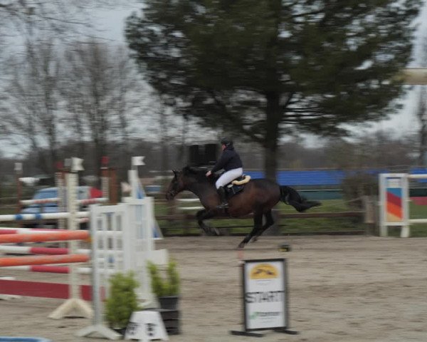Reitturnier Scharnebeck 2021