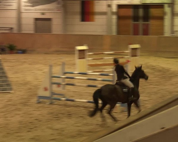 Reitturnier Prussendorf 2021