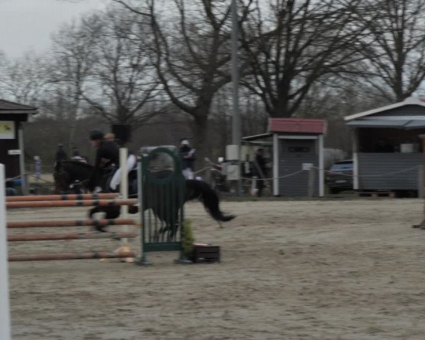 Reitturnier Scharnebeck 2021