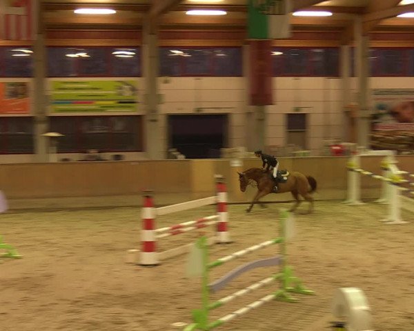 Reitturnier Prussendorf 2021