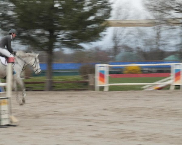 Reitturnier Scharnebeck 2021