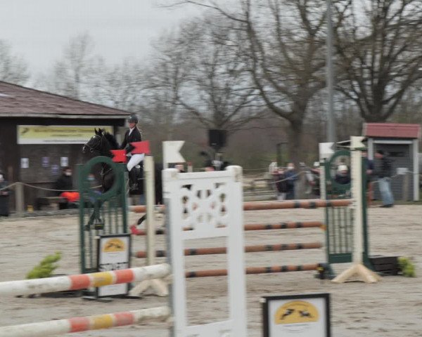 Reitturnier Scharnebeck 2021