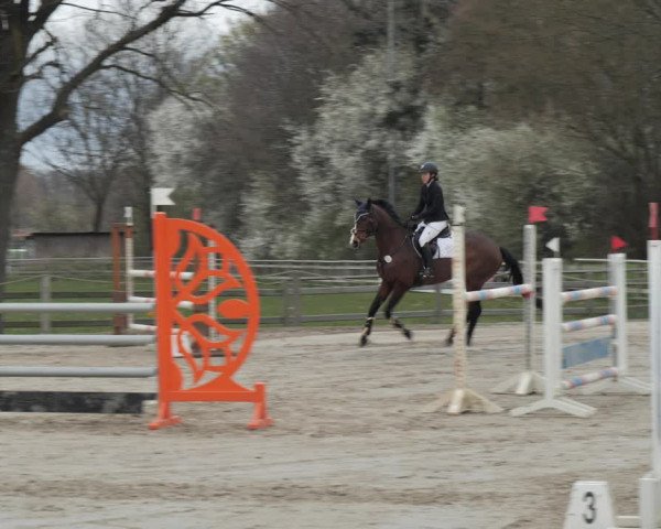 Reitturnier Scharnebeck 2021