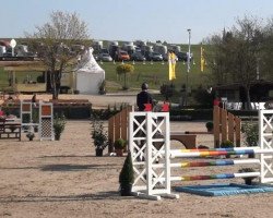 jumper Homero 7 (Hanoverian, 2010, from Hochadel)