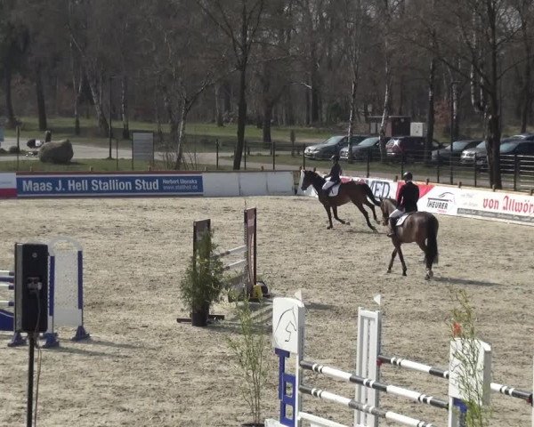 Reitturnier Westergellersen 2021