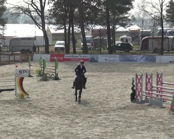 Reitturnier Westergellersen 2021
