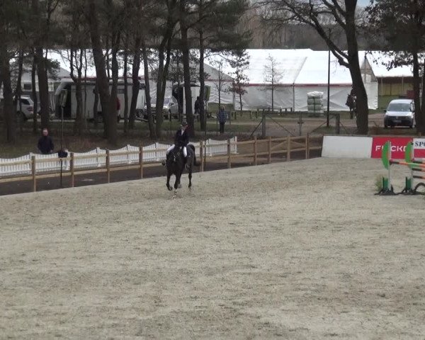 Reitturnier Westergellersen 2021