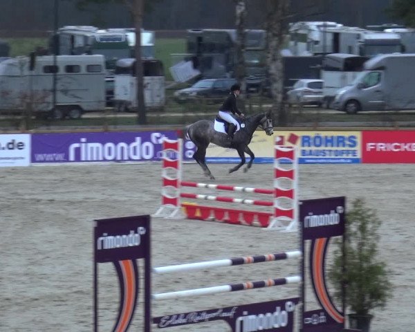 Reitturnier Westergellersen 2021