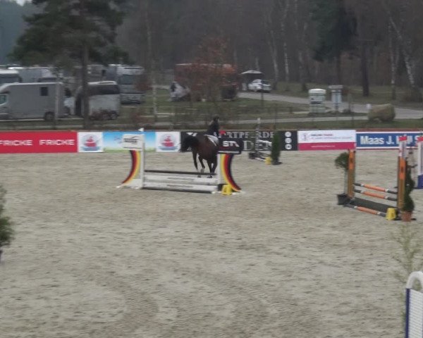 Reitturnier Westergellersen 2021