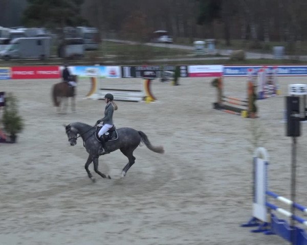 Reitturnier Westergellersen 2021