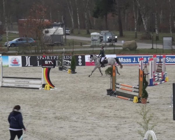 Reitturnier Westergellersen 2021