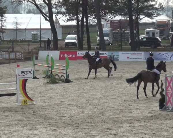 Reitturnier Westergellersen 2021
