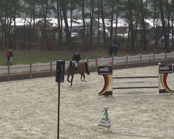 Reitturnier Westergellersen 2021