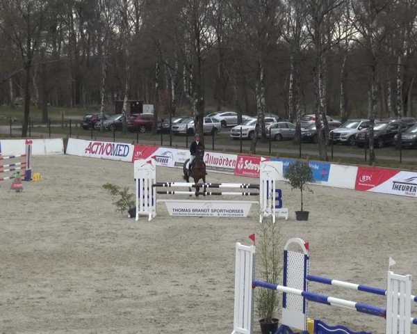 Reitturnier Westergellersen 2021