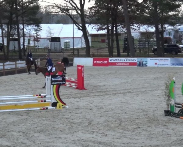 Reitturnier Westergellersen 2021