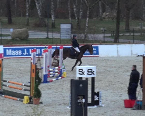 Reitturnier Westergellersen 2021