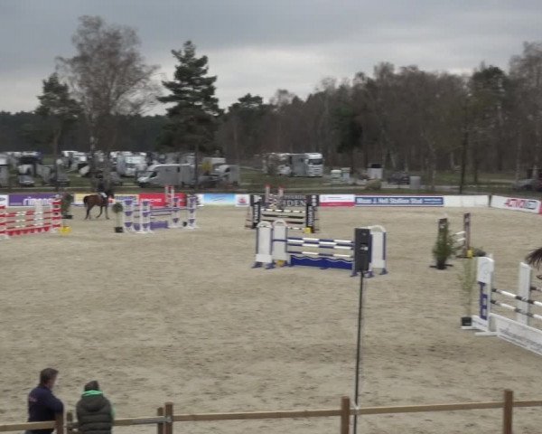 Reitturnier Westergellersen 2021