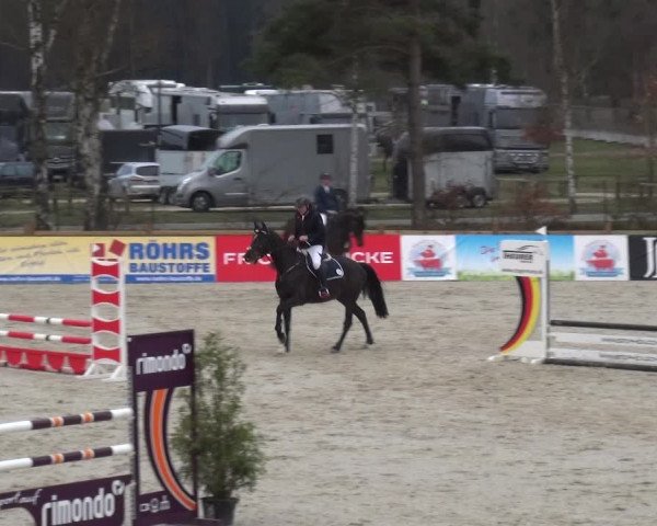 Reitturnier Westergellersen 2021