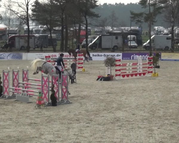 Reitturnier Westergellersen 2021