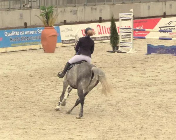 Reitturnier Westergellersen 2021